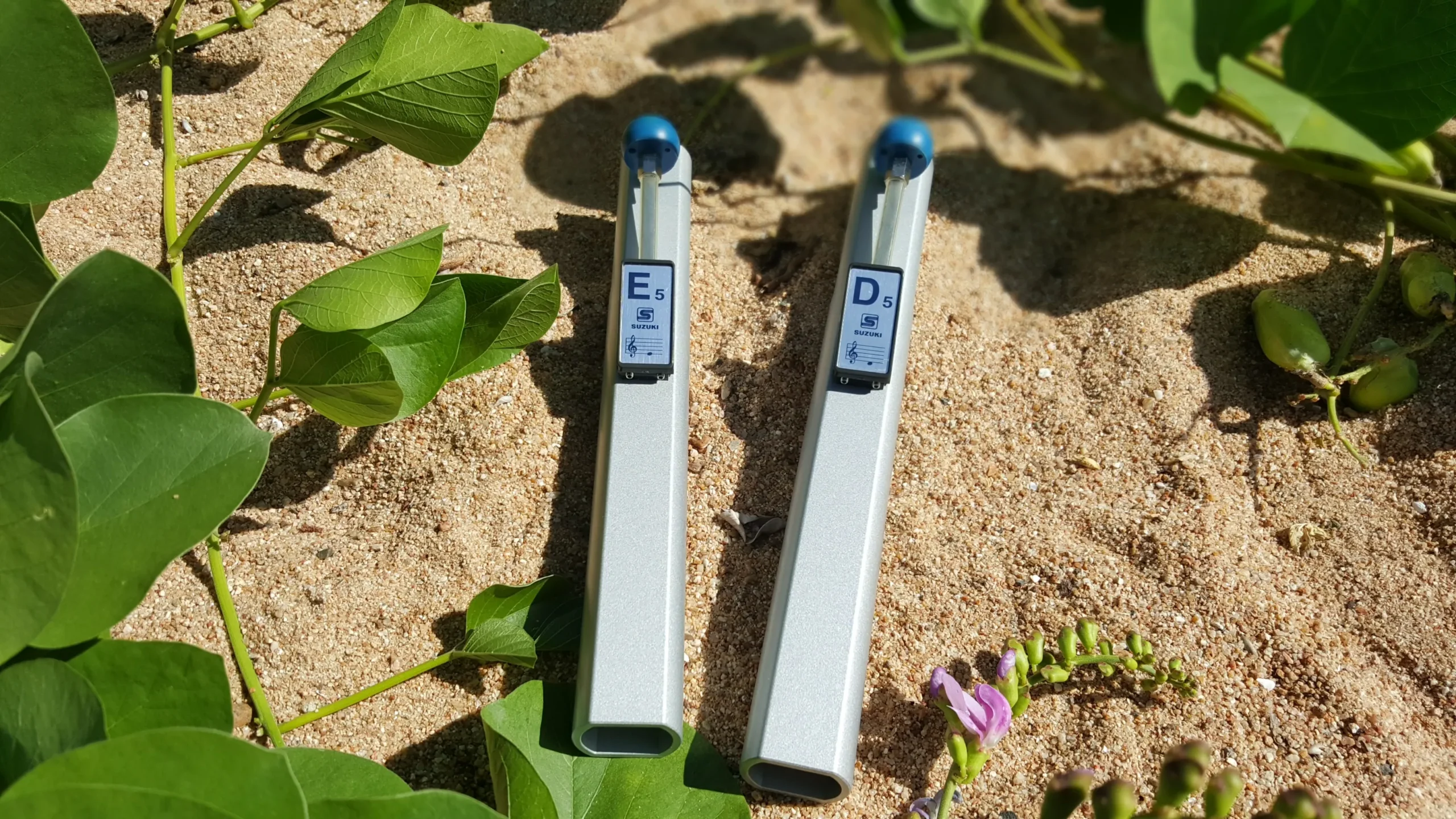 sound therapy music Brisbane